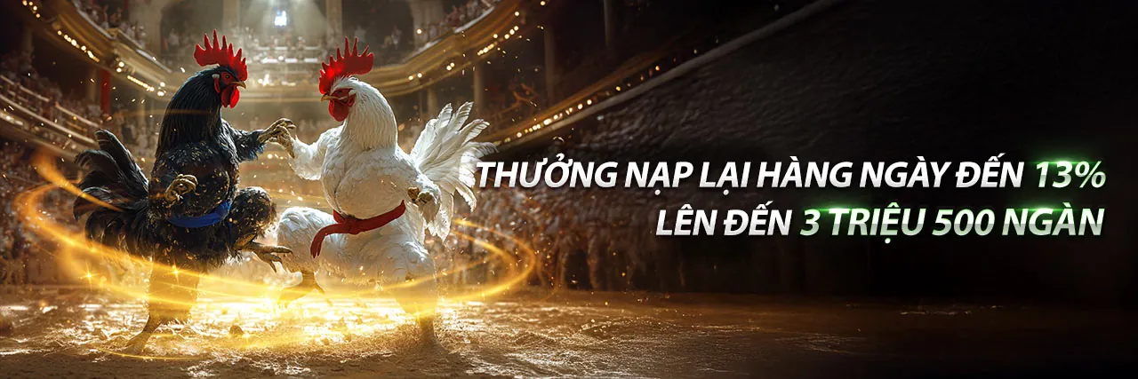 Đá gà trực tiếp tại hi8 ios, những trận đấu kịch tính và cơ hội thắng lớn